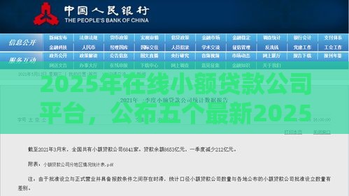 2025年在线小额贷款公司平台，公布五个最新2025买会员有额度的口子