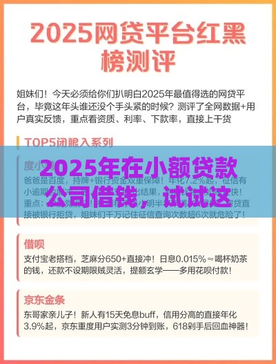 2025年在小额贷款公司借钱，试试这5个最新网贷款平台