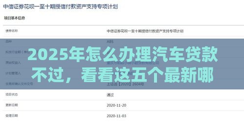 2025年怎么办理汽车贷款不过，看看这五个最新哪些网贷平台容易贷款
