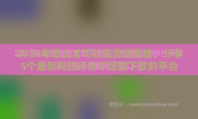 2025年怎么才可以在微信借钱，分享5个最新风控评分不足能下款的平台