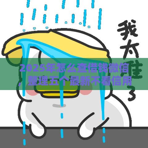 2025年怎么查借钱微信，整理五个最新不看信用能借一千块钱的软件