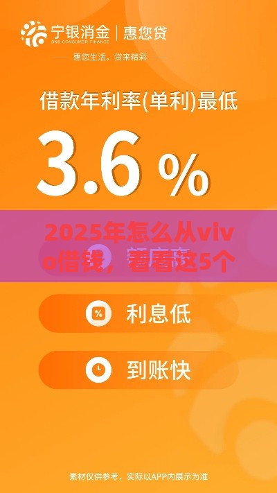 2025年怎么从vivo借钱，看看这5个最新比较好的贷款平台