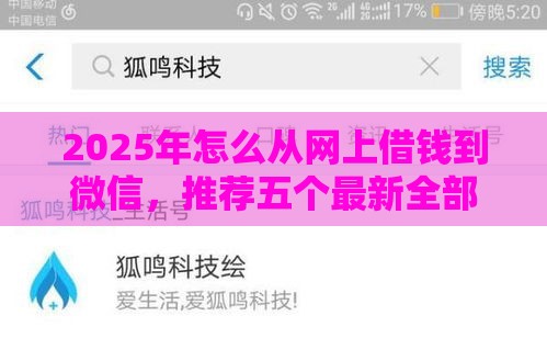 2025年怎么从网上借钱到微信，推荐五个最新全部秒拒还有啥口子