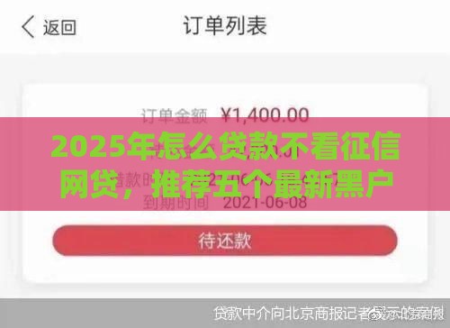 2025年怎么贷款不看征信网贷，推荐五个最新黑户网贷借款平台