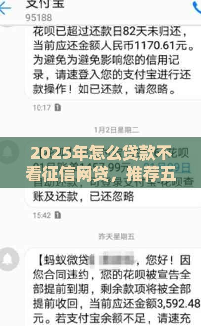 2025年怎么贷款不看征信网贷，推荐五个最新黑户网贷借款平台