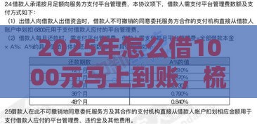 2025年怎么借1000元马上到账，梳理5个最新逾期还可以贷款的平台