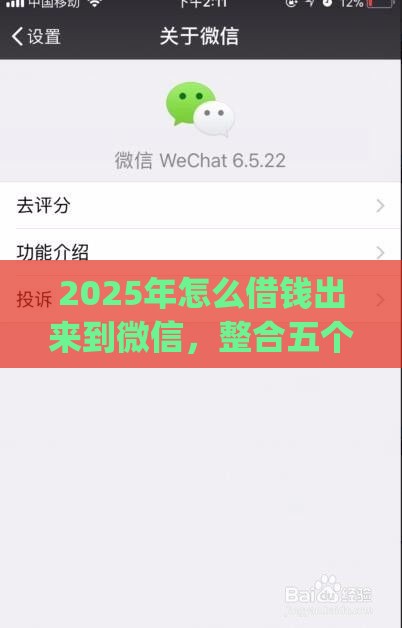 2025年怎么借钱出来到微信，整合五个最新最新黑户能下款的app口子