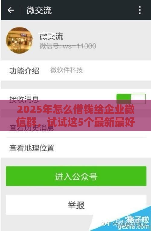 2025年怎么借钱给企业微信群，试试这5个最新最好借钱的网贷平台不看数据