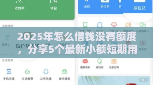 2025年怎么借钱没有额度，分享5个最新小额短期用钱平台好