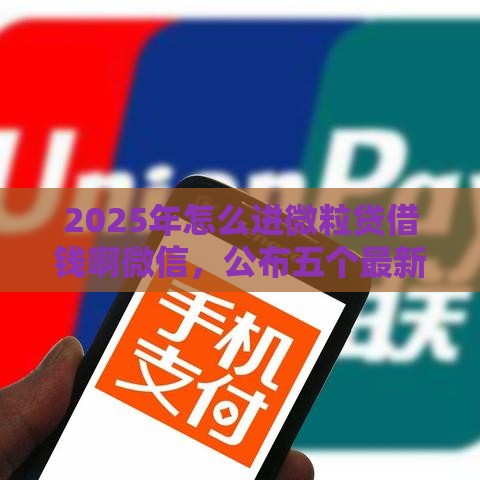 2025年怎么进微粒贷借钱啊微信，公布五个最新马云贷款平台