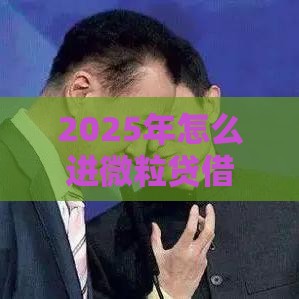 2025年怎么进微粒贷借钱啊微信，公布五个最新马云贷款平台