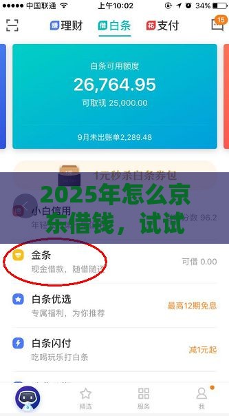2025年怎么京东借钱，试试这五个最新20岁贷款平台