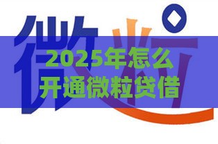 2025年怎么开通微粒贷借钱，试试这5个最新网贷平台哪些比较正规