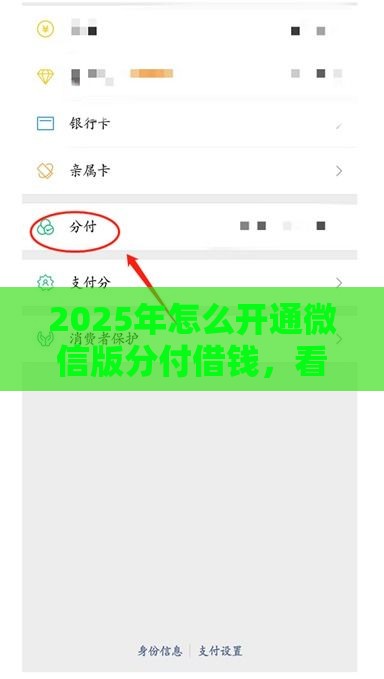 2025年怎么开通微信版分付借钱，看看这5个最新贷款平台不看征信