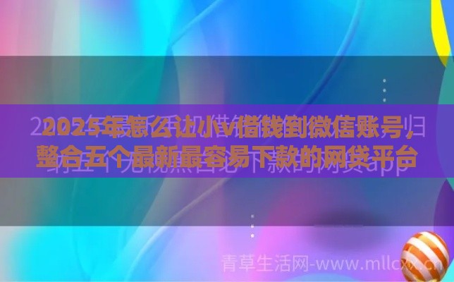 2025年怎么让小v借钱到微信账号,整合五个最新最容易下款的网贷平台 2025年怎么让小v借钱到微信账号,整合五个最新最容易下款的网贷平台