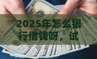 2025年怎么银行借钱呀，试试这5个最新黑网贷口子大全