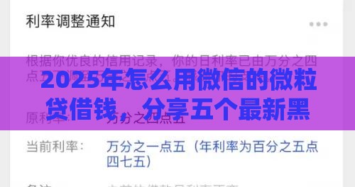 2025年怎么用微信的微粒贷借钱，分享五个最新黑户高炮不审核的口子