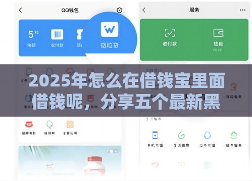 2025年怎么在借钱宝里面借钱呢，分享五个最新黑户能借款的平台