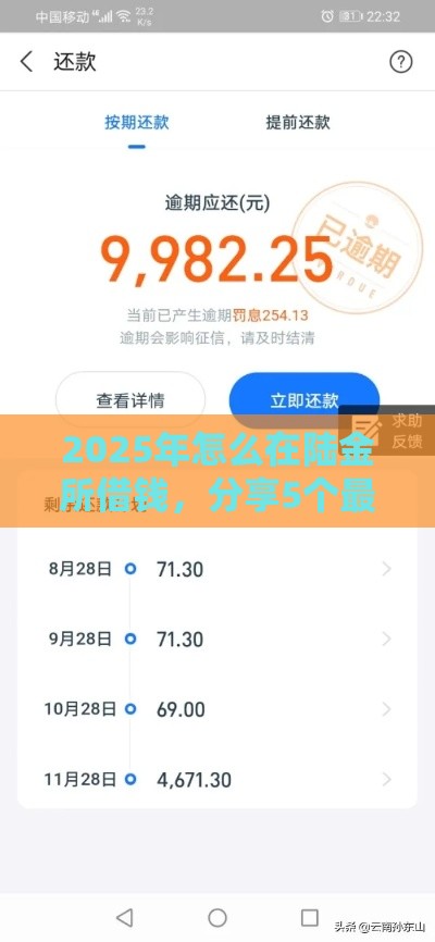 2025年怎么在陆金所借钱，分享5个最新2025年7天借款的口子秒到的