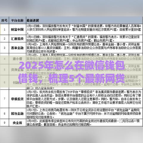 2025年怎么在微信钱包借钱，梳理5个最新网贷平台p2p