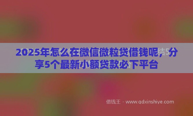 2025年怎么在微信微粒贷借钱呢，分享5个最新小额贷款必下平台