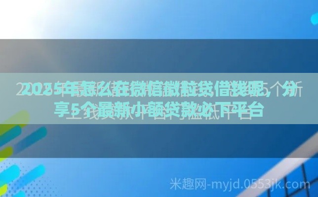 2025年怎么在微信微粒贷借钱呢，分享5个最新小额贷款必下平台