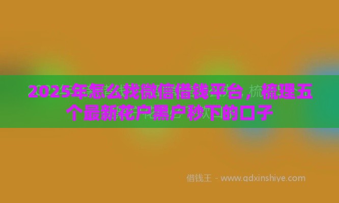 2025年怎么找微信借钱平台，梳理五个最新花户黑户秒下的口子