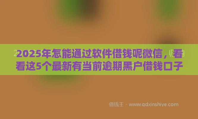 2025年怎能通过软件借钱呢微信，看看这5个最新有当前逾期黑户借钱口子