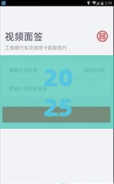2025年怎样查车贷审批通过不通过APP，试试这五个最新黑户放款都有什么口子