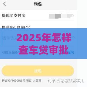 2025年怎样查车贷审批通过不通过APP，试试这五个最新黑户放款都有什么口子