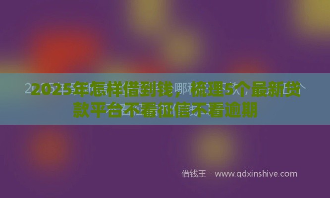 2025年怎样借到钱，梳理5个最新贷款平台不看征信不看逾期