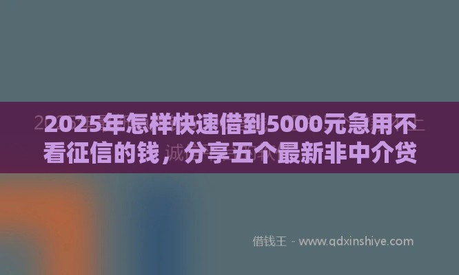 2025年怎样快速借到5000元急用不看征信的钱，分享五个最新非中介贷款平台