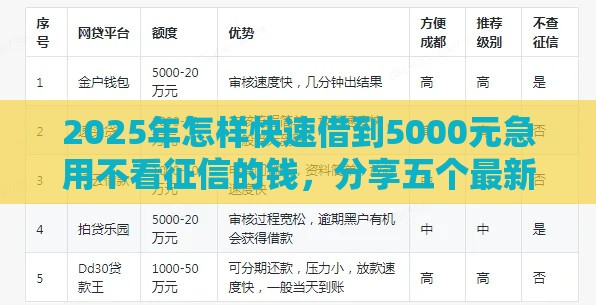 2025年怎样快速借到5000元急用不看征信的钱，分享五个最新非中介贷款平台