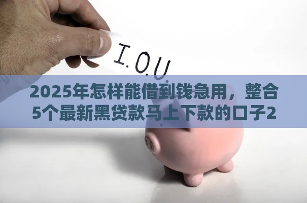 2025年怎样能借到钱急用，整合5个最新黑贷款马上下款的口子2025