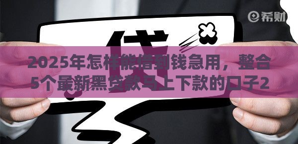2025年怎样能借到钱急用，整合5个最新黑贷款马上下款的口子2025