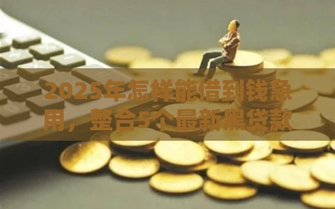 2025年怎样能借到钱急用，整合5个最新黑贷款马上下款的口子2025