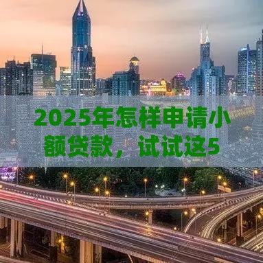 2025年怎样申请小额贷款，试试这5个最新国外贷款平台