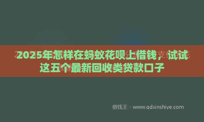 2025年怎样在蚂蚁花呗上借钱，试试这五个最新回收类贷款口子