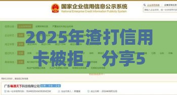 2025年渣打信用卡被拒，分享5个最新这两天能下款的软件