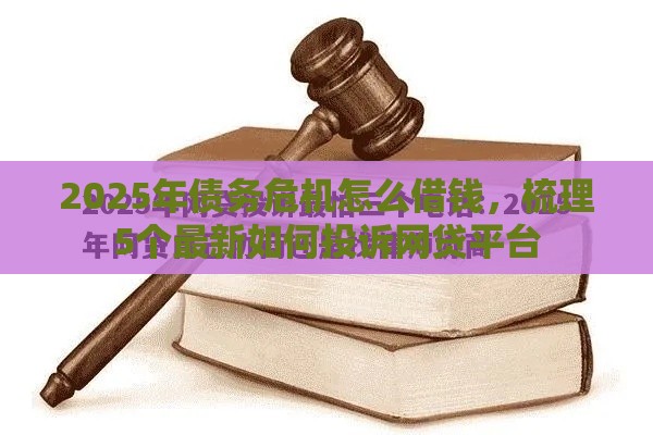 2025年债务危机怎么借钱，梳理5个最新如何投诉网贷平台