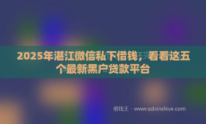 2025年湛江微信私下借钱，看看这五个最新黑户贷款平台