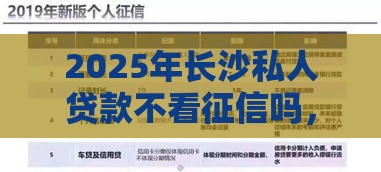 2025年长沙私人贷款不看征信吗，看看这五个最新小微企业贷款平台