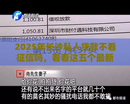 2025年长沙私人贷款不看征信吗，看看这五个最新小微企业贷款平台