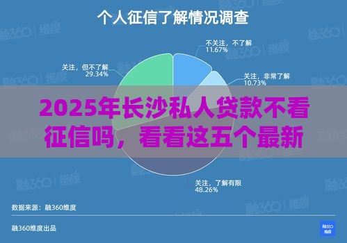 2025年长沙私人贷款不看征信吗，看看这五个最新小微企业贷款平台