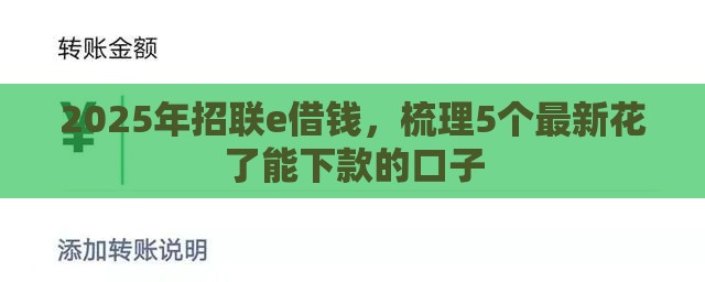2025年招联e借钱，梳理5个最新花了能下款的口子