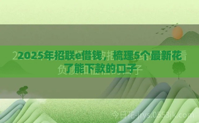 2025年招联e借钱，梳理5个最新花了能下款的口子