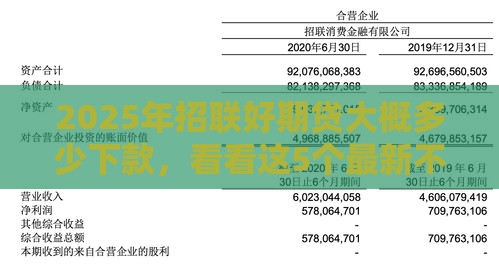 2025年招联好期贷大概多少下款，看看这5个最新不看征信的借款平台百分百通过