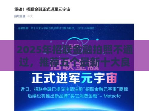2025年招联金融拍照不通过，推荐五个最新十大良心贷款平台