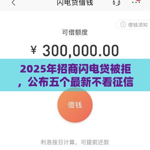 2025年招商闪电贷被拒，公布五个最新不看征信的借钱正规平台