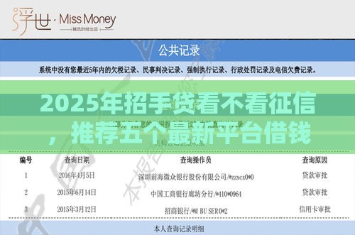 2025年招手贷看不看征信，推荐五个最新平台借钱安全可靠